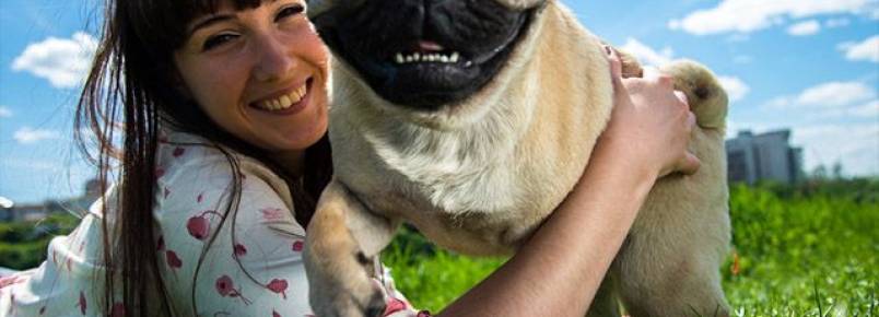 Quais doenças podemos transmitir para os cães