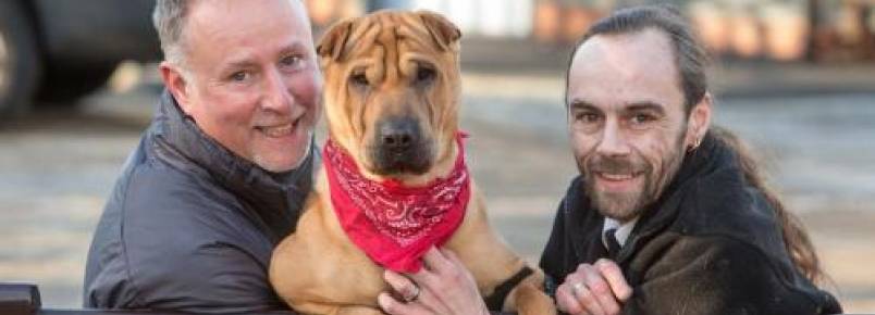 Cachorro abandonado em estação de trem na Escócia encontra um novo tutor 