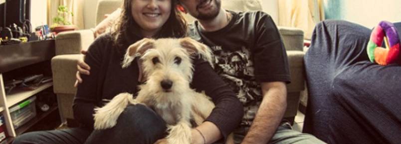 Site reúne donos que precisam viajar e interessados em hospedar cães