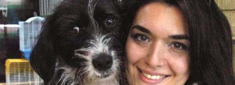 Nova lei da Turquia obriga as pessoas a fazerem curso antes de tutelar um animal