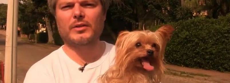 Polícia busca dono de cachorro encontrado em carro roubado