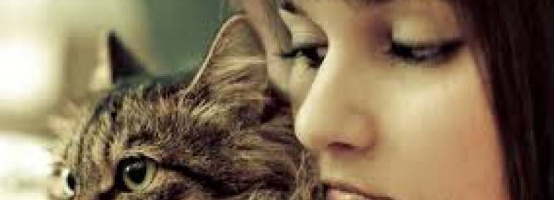 Conviver com animais melhora a saúde, aponta pesquisa