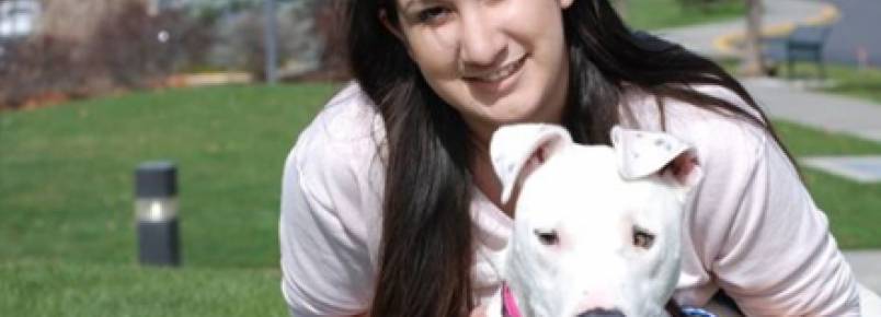 Cadela atropelada e atingida na cabeça por um martelo sobrevive e busca novo lar