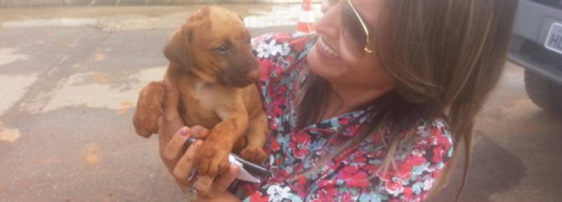 Cachorro  resgatado depois de ser enterrado vivo em Arax