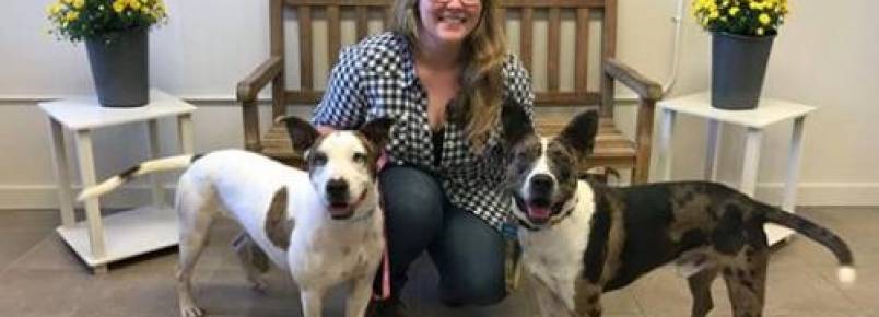 Mulher dirige para outro Estado para adotar cãozinho de abrigo