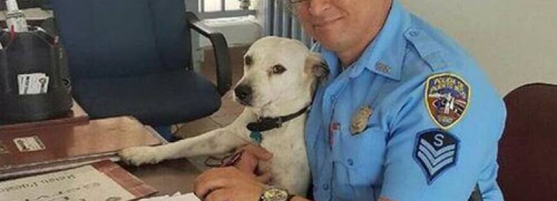 Um cão de rua entra em uma delegacia e se torna policial