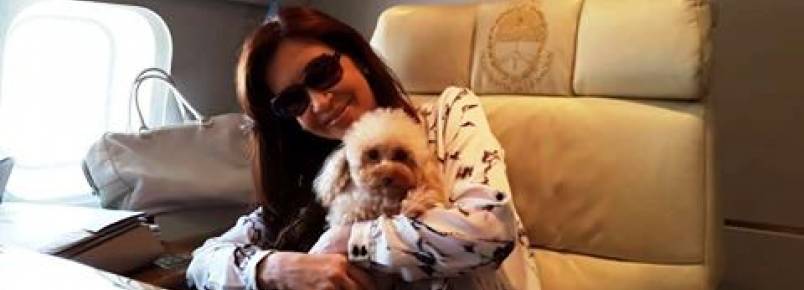 Presidente da Argentina anuncia que cães pequenos vão poder viajar com seus tutores nos aviões