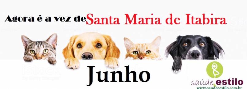 Agora é a vez de Santa Maria de Itabira ter o maior evento  dos Apaixonados por Cães