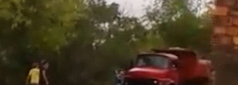 Internauta filma momento em que caçamba joga animais vivos em terreno 