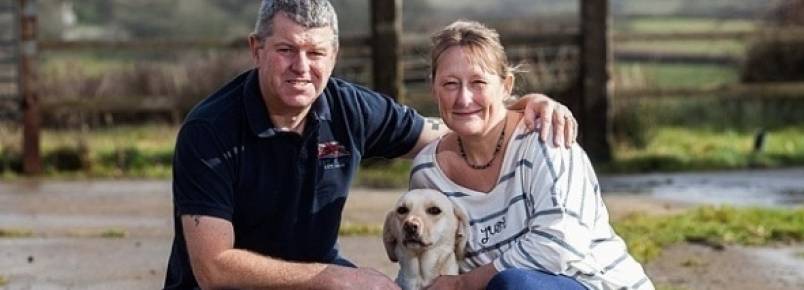 Cachorra pede ajuda e salva a vida de sua tutora
