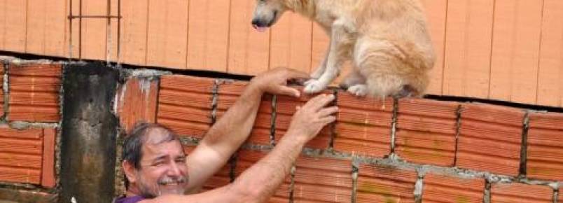 Chuvas no Acre deixam milhares de famílias e seus cães desabrigados