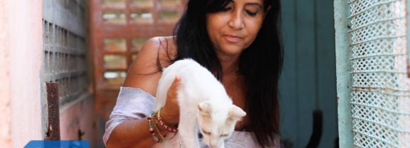 Baiana cuida de mais de 200 animais abandonados na própria casa
