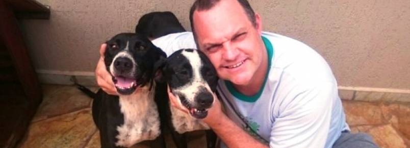 Após reportagem do Correio, cães que comiam as próprias fezes são adotados