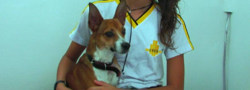 Conheçam Bob um lindo mascote da ML Folheados