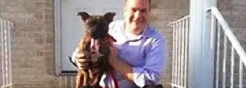 Político adota pitbull durante campanha eleitoral e depois o abandona