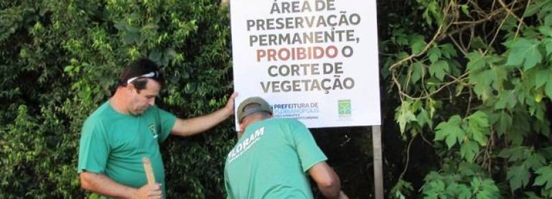 Abandono de animais é objeto de campanha em Florianópolis
