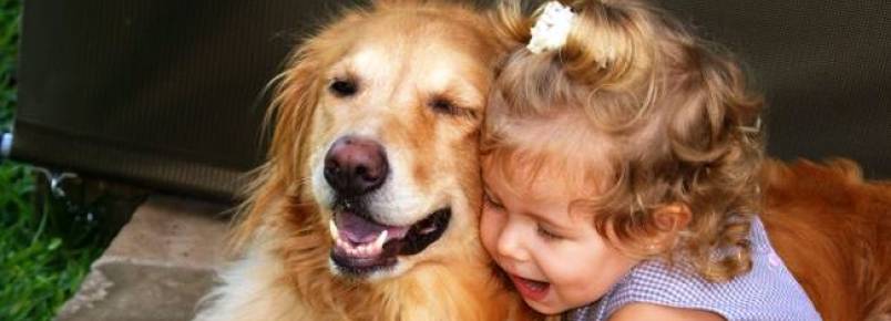 Uma amizade que ensina o respeito aos animais