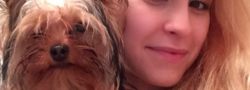 Conheça o cachorro de Carla Diaz