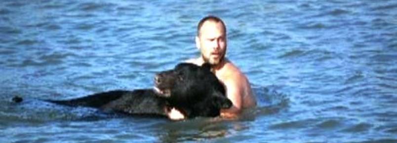 Homem arrisca a vida para salvar urso de 170 quilos