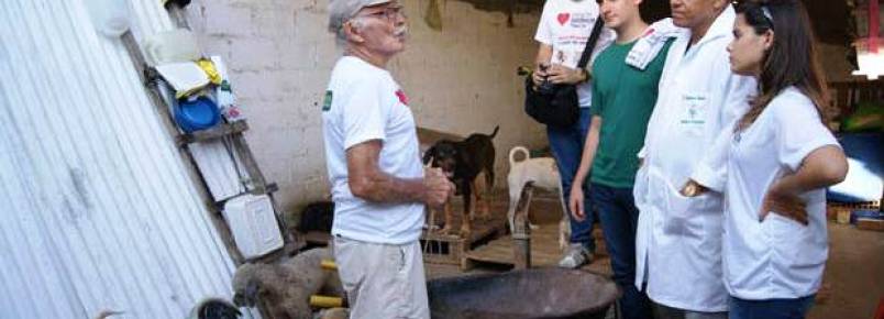 Projeto de recifenses pretende mudar a realidade de animais abandonados
