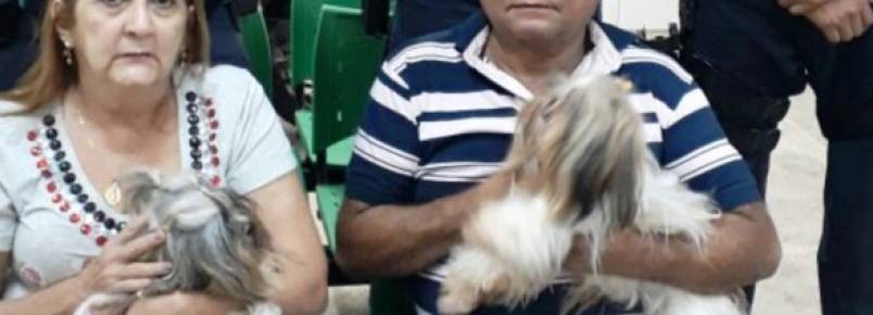 Casal reage durante assalto e os três cães que estavam dentro do carro são levados pelos criminosos