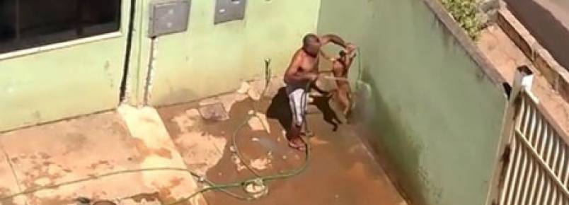 Homem enforca cachorro pela coleira enquanto joga água na cara do animal 