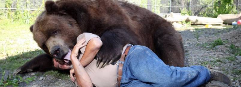 Casal dedica sua vida para cuidar de ursos resgatados