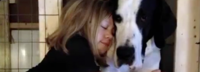 Menina que não conseguia andar ganha mais independência com um grande cão de serviço 