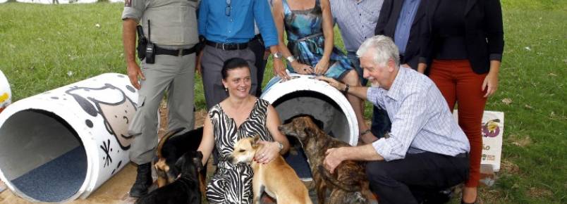 Cães comunitários ganham abrigo em praça no bairro Rubem Berta