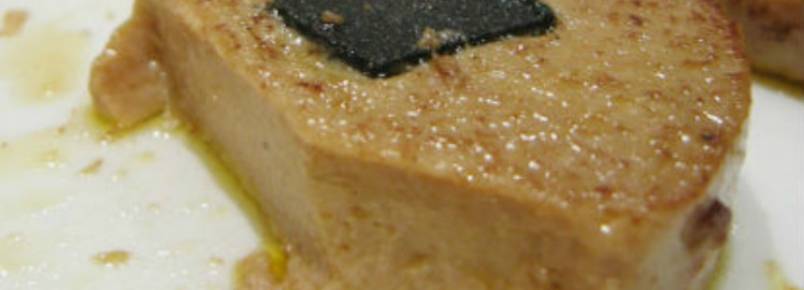 Vereadora copia lei polêmica de São Paulo e quer proibir no Recife o “foie gras” e a venda de roupas de pele