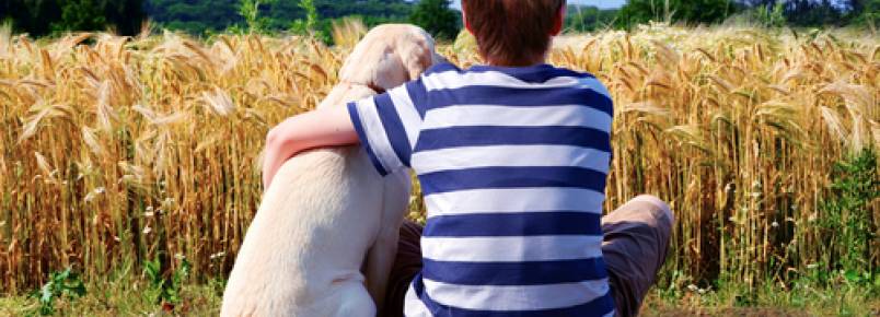 O que fazer se meu filho tem medo de cães?