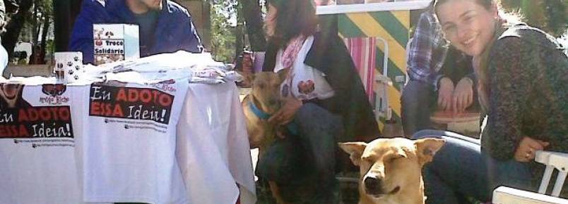 Prefeitura analisa recurso financeiro para Associação Amigo Bicho