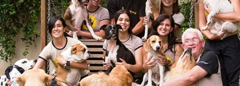 Homens e animais: Uma boa amizade