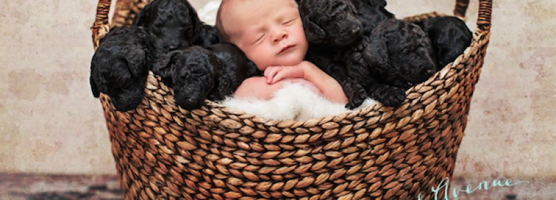 Mulher e sua cachorra dão à luz no mesmo dia