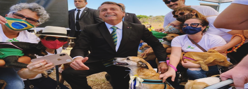 Bolsonaro visita tenda de adoção de cães e gatos perto do Alvorada