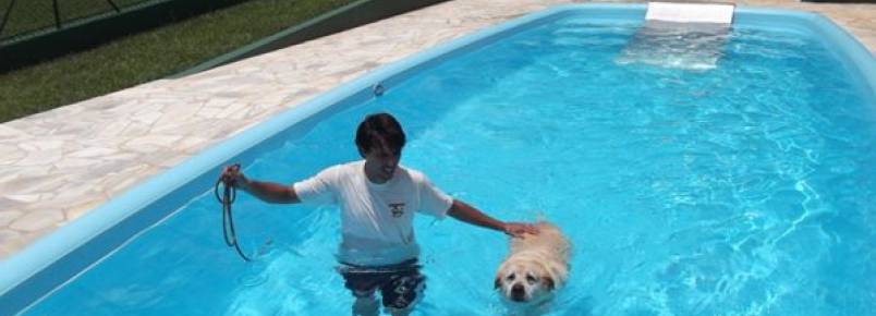 Natação ajuda a manter o pet sempre saudável, assegura veterinário