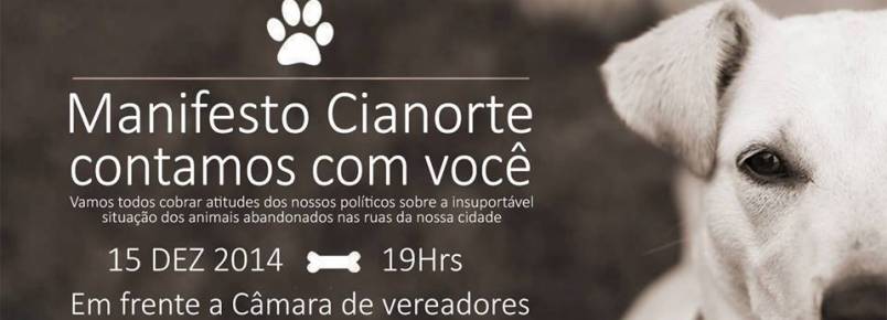 Cães abandonados motivam protesto em Cianorte