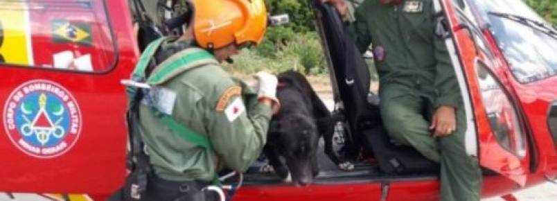 Cão é resgatado de helicóptero pelo Corpo de Bombeiros