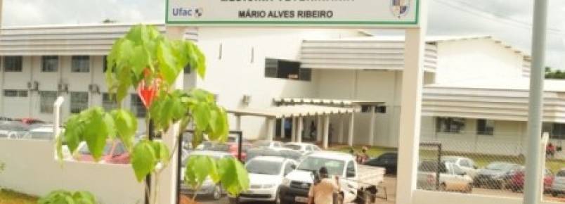 Alunos de Veterinária cuidarão de animais gratuitamente