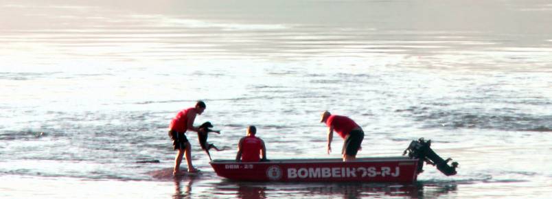 Bombeiros resgatam cachorro do rio Paraíba