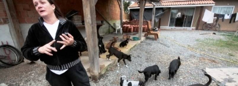 “Se não ajudarmos, quem vai?” Diz mulher que recolheu 30 cães 