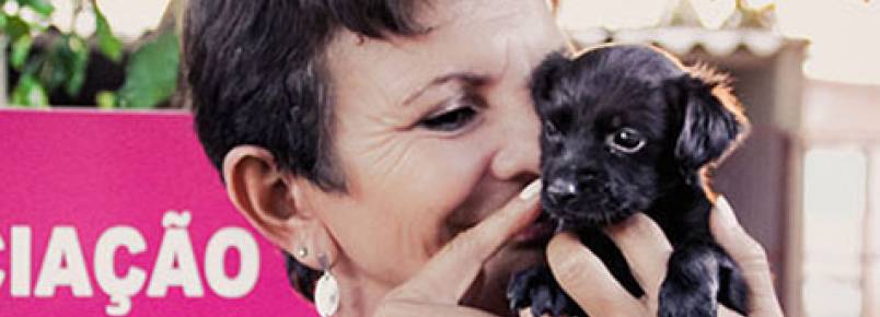 Pela internet, ONG que cuida de cãezinhos abandonados consegue levantar recursos