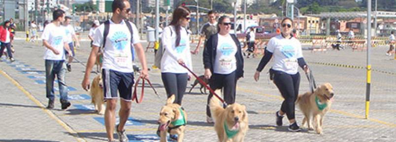 1 Pet Run  Shopping Eldorado rene atletas caninos e seus donos em um domingo repleto de atividades