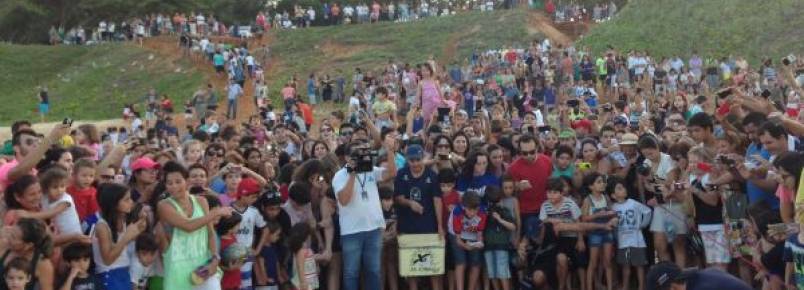 Libertação de tartarugas do Tamar reuniu público recorde