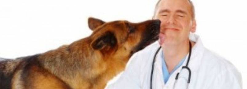 Parabéns veterinários pelo seu dia!