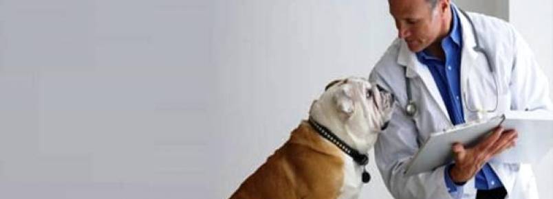 Concurso público abre vagas para veterinário e engenheiro ambiental