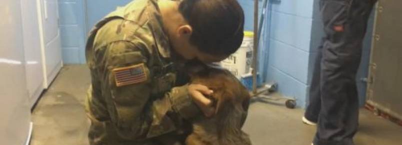 Soldado reencontra cão de sua família que achava que nunca veria novamente