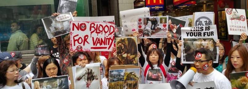Ativistas protestam em maior feira de venda de peles do mundo