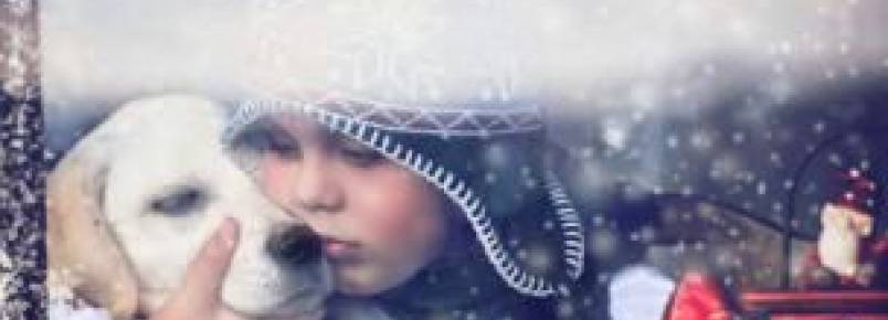 Fotógrafa capta momentos únicos entre o filho e o seu labrador
