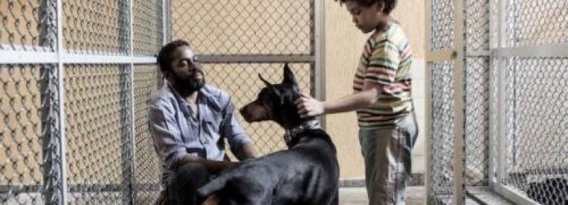 Equipe de filme brasileiro lana campanha de incentivo  adoo de cachorros abandonados